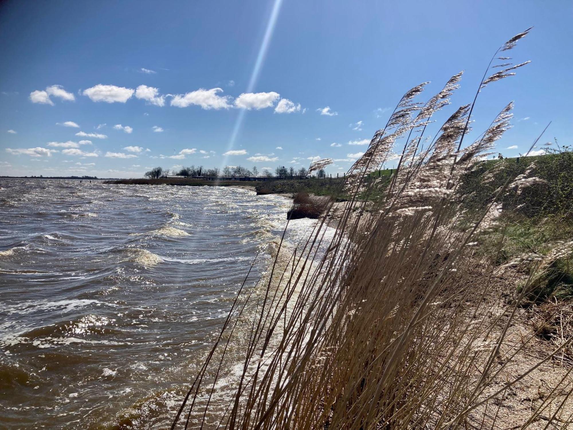 Haus Gaby Direkt Am Lauwersmeer Anjum Eksteriør bilde